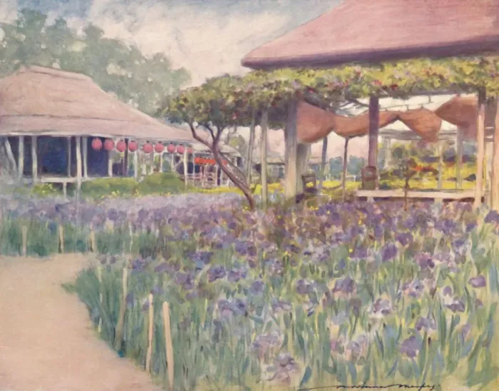 Framed Print : An Iris Garden, 1903. Artist: Mortimer L Menpes Framed Print : An Iris Garden, 1903. Artist: Mortimer L Menpes
