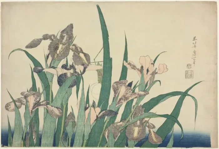 Framed Print : Iris and Grasshopper, from an untitled series of large flowers, Japan, c. 1833 / 34 Framed Print : Iris and Grasshopper, from an untitled series of large flowers, Japan, c. 1833 / 34