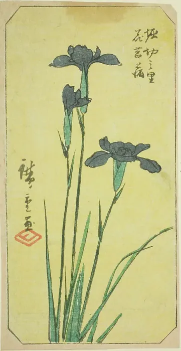 Framed Print : Iris at Horikiri Village (Horikiri no sato hanashobu), section of a sheet from the series... 1857. Creator: Ando Hiroshige Framed Print : Iris at Horikiri Village (Horikiri no sato hanashobu), section of a sheet from the series... 1857. Creator: Ando Hiroshige