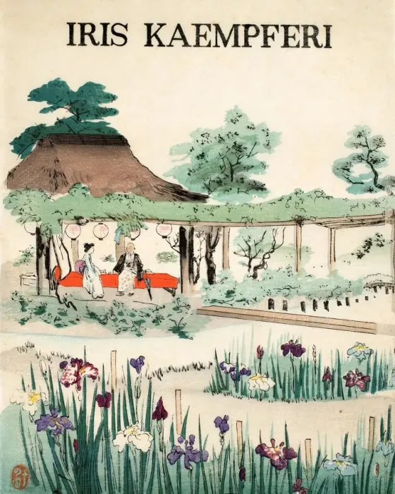 Framed Print : Iris Kaempferi - Front Cover, 1890, (colour woodblock print) Framed Print : Iris Kaempferi - Front Cover, 1890, (colour woodblock print)