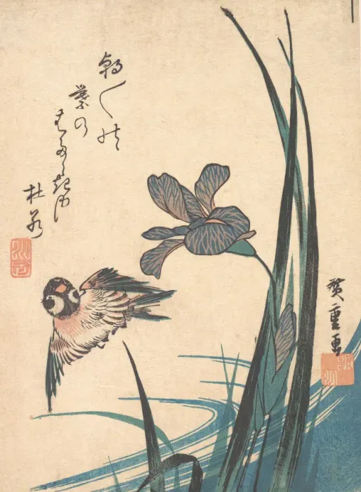 Framed Print : Iris and Sparrow, ca. 1832. ca. 1832. Creator: Ando Hiroshige Framed Print : Iris and Sparrow, ca. 1832. ca. 1832. Creator: Ando Hiroshige