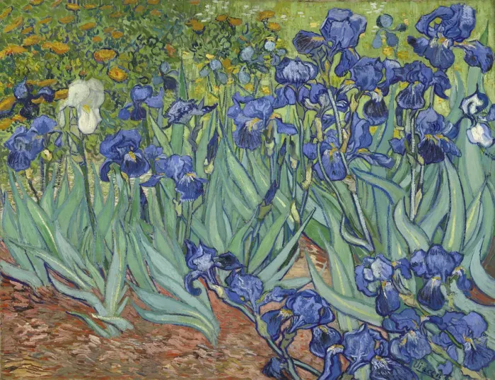 Framed Print : Irises, 1889. Artist: Gogh, Vincent, van (1853-1890) Framed Print : Irises, 1889. Artist: Gogh, Vincent, van (1853-1890)