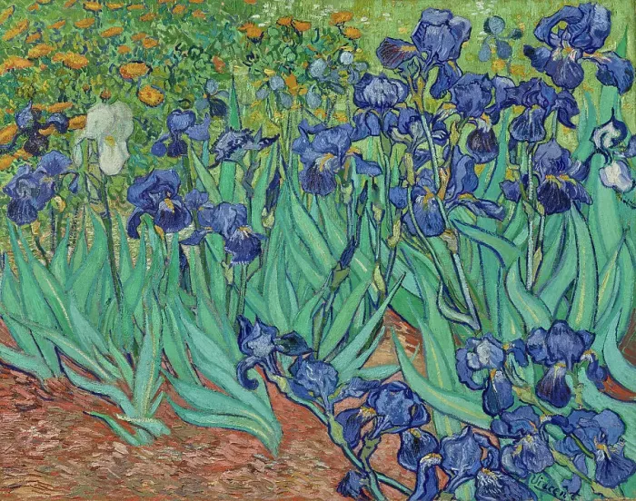 Framed Print : Irises, 1889. Creator: Vincent van Gogh Framed Print : Irises, 1889. Creator: Vincent van Gogh