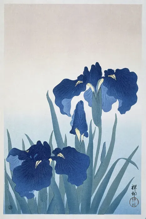 Framed Print : Irises, 1925-1936. Creator: Ohara, Koson (1877-1945) Framed Print : Irises, 1925-1936. Creator: Ohara, Koson (1877-1945)