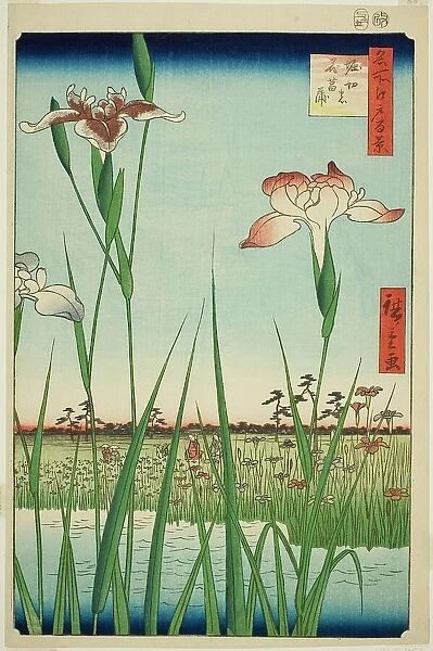 Irises at Horikiri (Horikiri no hanashobu), from the series 'One Hundred Famous Views of... 1857. Creator: Ando Hiroshige. Irises at Horikiri (Horikiri no hanashobu), from the series 'One Hundred Famous Views of... 1857