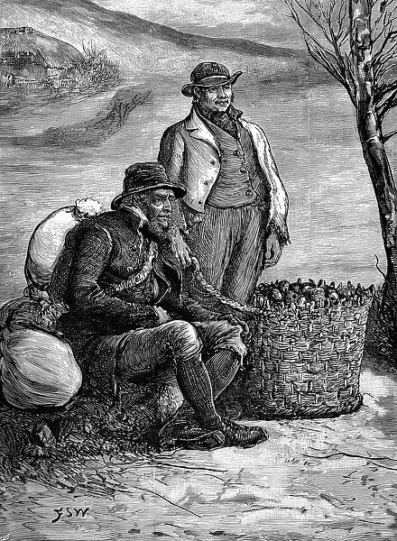 Irish farmers carrying home their seed potatoes, 1888