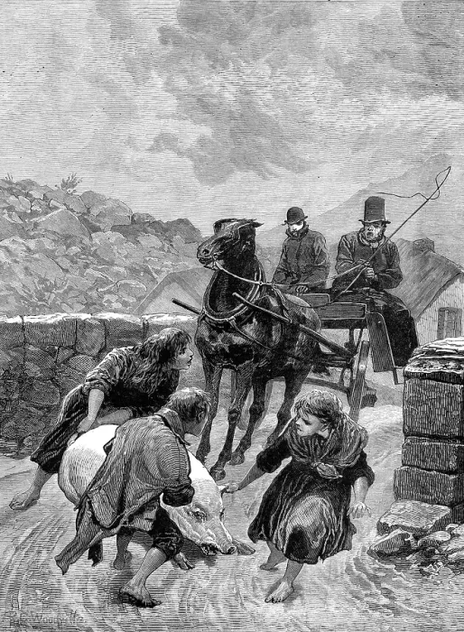 Framed Print : An Irish obstructionist: a sketch on the road, Connemara, 1880. Creator: Unknown Framed Print : An Irish obstructionist: a sketch on the road, Connemara, 1880. Creator: Unknown