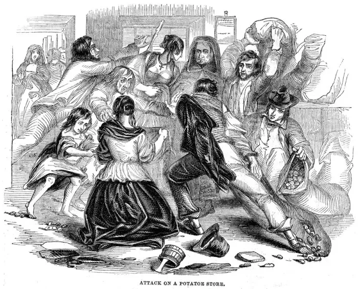 Framed Print : Irish Potato Famine, 1842 Framed Print : Irish Potato Famine, 1842