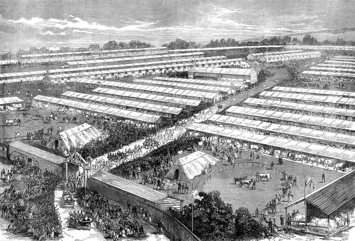 Framed Print : The Irish Royal Agricultural Society's Show at Dublin, 1871. Creator: Unknown Framed Print : The Irish Royal Agricultural Society's Show at Dublin, 1871. Creator: Unknown