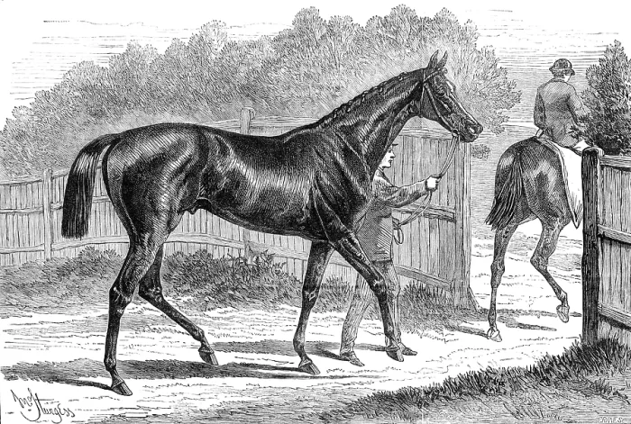 Framed Print : Iroquois, the winner of the Derby, 1881. Creator: Crane Framed Print : Iroquois, the winner of the Derby, 1881. Creator: Crane