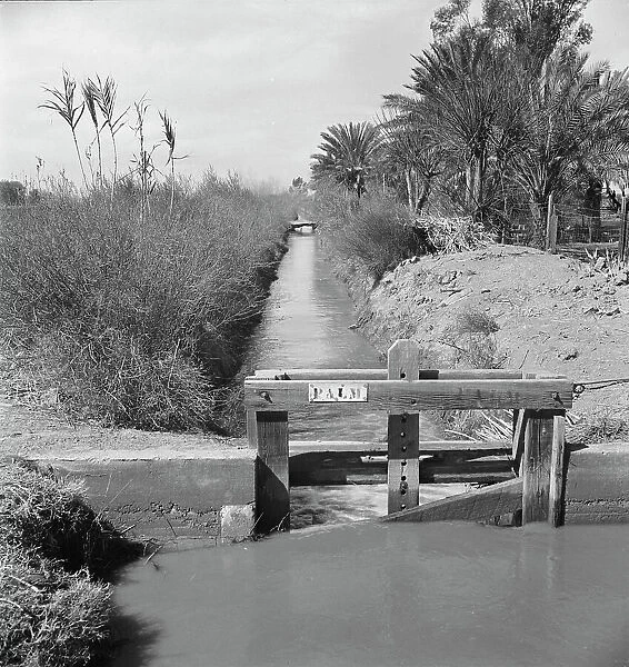 Irrigation ditch along the road, Imperial Valley, California, 1937. Creator: Dorothea Lange