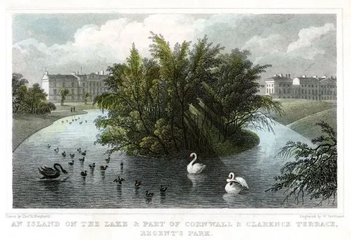 Framed Print : Island on the lake and Part of Cornwall and Clarence Terraces, Regents Park, London, 1828. Artist: William Tombleson Framed Print : Island on the lake and Part of Cornwall and Clarence Terraces, Regents Park, London, 1828. Artist: William Tombleson