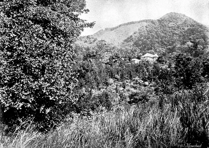 Framed Print : The Island of Montserrat (West Indies) - Manager's House, 1895. Creator: Unknown. The Island of Montserrat (West Indies) - Manager's House, 1895. Creator: Unknown Framed Print : The Island of Montserrat (West Indies) - Manager's House, 1895. Creator: Unknown. The Island of Montserrat (West Indies) - Manager's House, 1895. Creator: Unknown