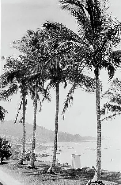 Island of Taboga and bay, Panama, c.between 1910 and 1920. Creator: Unknown