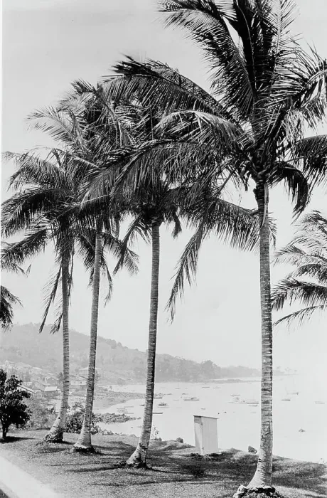 Framed Print : Island of Taboga and bay, Panama, c.between 1910 and 1920. Creator: Unknown Framed Print : Island of Taboga and bay, Panama, c.between 1910 and 1920. Creator: Unknown