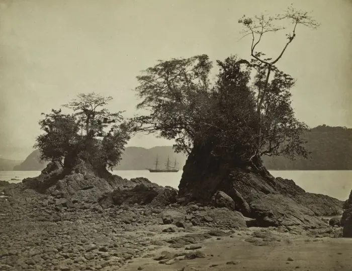 Framed Print : Islands in Limon Bay, 1871. Creator: John Moran (American, 1829-1902) Framed Print : Islands in Limon Bay, 1871. Creator: John Moran (American, 1829-1902)