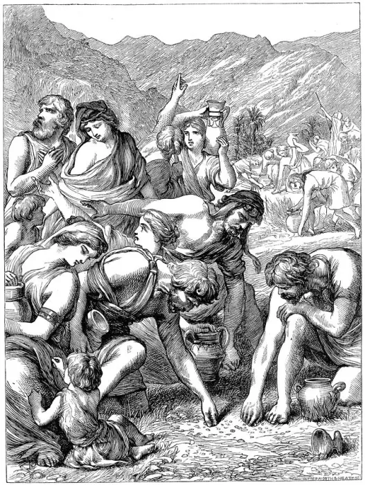 Framed Print : Israelites in the wilderness collecting the manna that fell from Heaven, 1869 Framed Print : Israelites in the wilderness collecting the manna that fell from Heaven, 1869