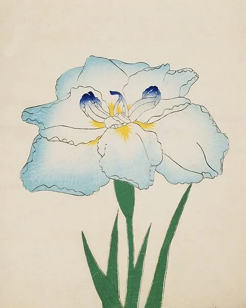 Issui-No-Gin, No. 34, 1890, (colour woodblock print)