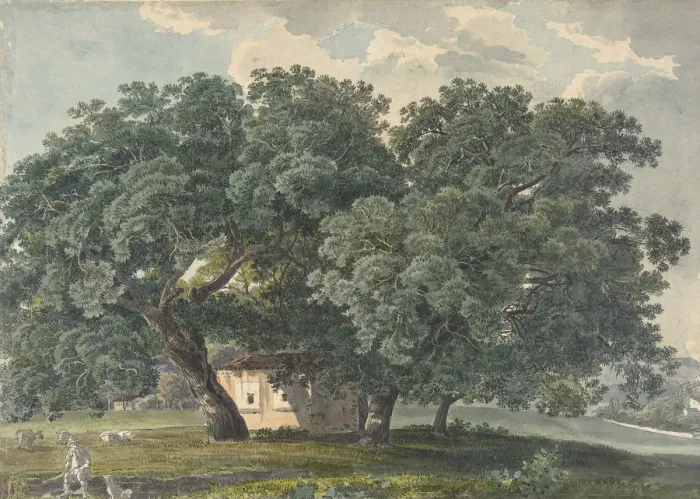 Framed Print : Italian Landscape with Trees (recto), 1815-21. Creator: Friedrich Salathe Framed Print : Italian Landscape with Trees (recto), 1815-21. Creator: Friedrich Salathe