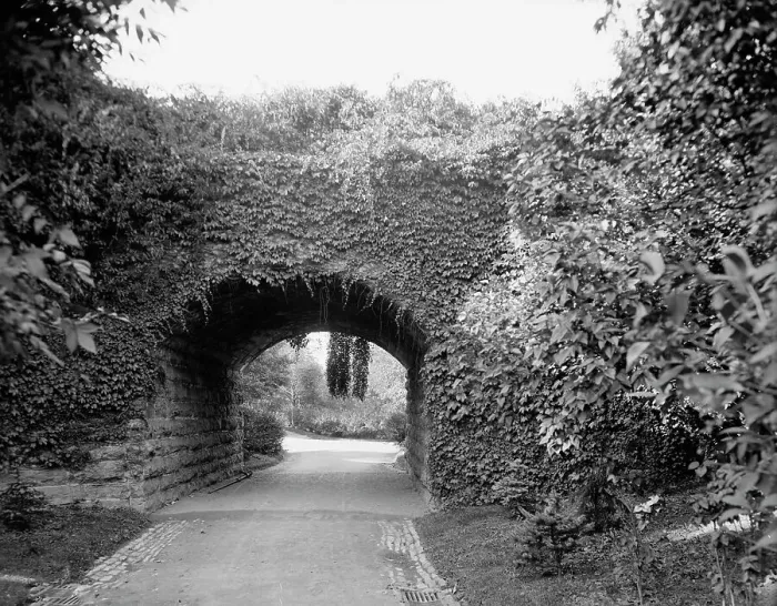 Framed Print : Ivy arch bridge in Delaware Park, Buffalo, N.Y. c1908. Creator: Unknown Framed Print : Ivy arch bridge in Delaware Park, Buffalo, N.Y. c1908. Creator: Unknown