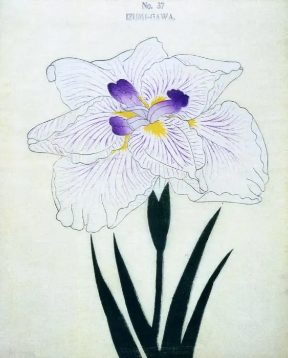 Framed Print : Izumi-Gawa, No 37 Framed Print : Izumi-Gawa, No 37