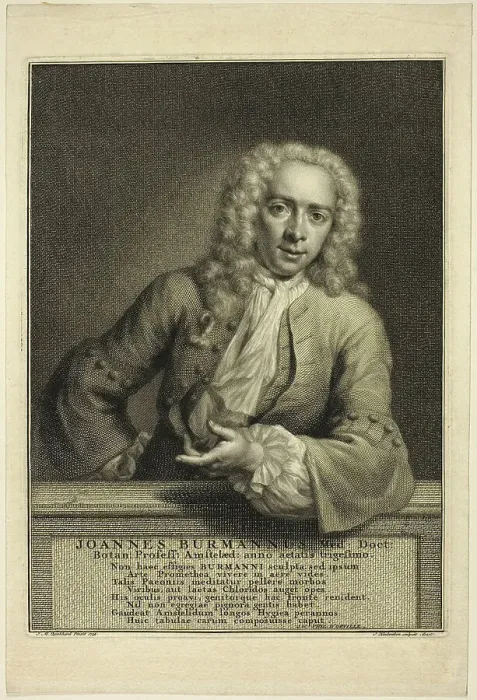 Framed Print : J. Burmannus, n.d. Creator: Jacobus Houbraken Framed Print : J. Burmannus, n.d. Creator: Jacobus Houbraken
