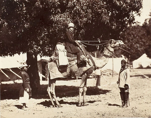 J. C. S. on a Riding Camel, 1858-61. Creator: Unknown