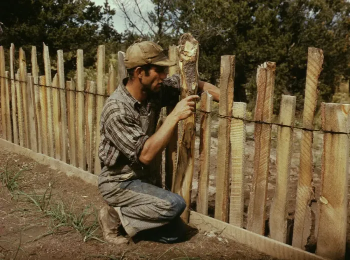 Framed Print : Jack Whinery, homesteader, repairing fence which he built with slabs, Pie Town, New Mexico, 1940. Creator: Russell Lee Framed Print : Jack Whinery, homesteader, repairing fence which he built with slabs, Pie Town, New Mexico, 1940. Creator: Russell Lee