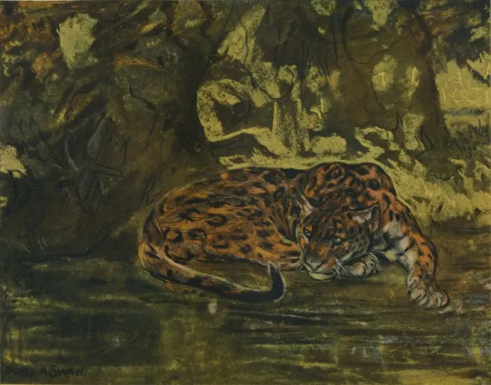Framed Print : A Jaguar, c1900. Artist: John MacAllan Swan