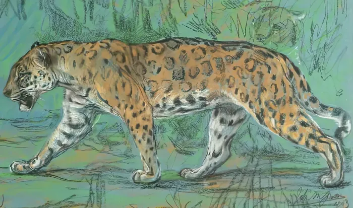 Framed Print : Jaguar Walking, 1903. Creator: John MacAllan Swan Framed Print : Jaguar Walking, 1903. Creator: John MacAllan Swan