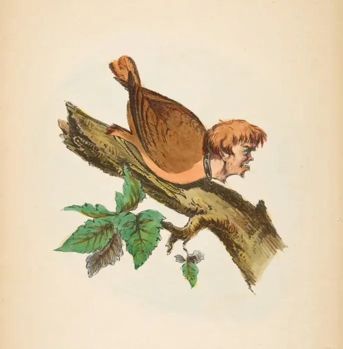 Framed Print : Jail Bird, from The Comic Natural History of the Human Race, 1851 Framed Print : Jail Bird, from The Comic Natural History of the Human Race, 1851