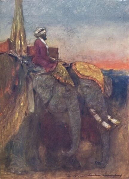 Jaipur Elephants, 1903. Artist: Mortimer L Menpes