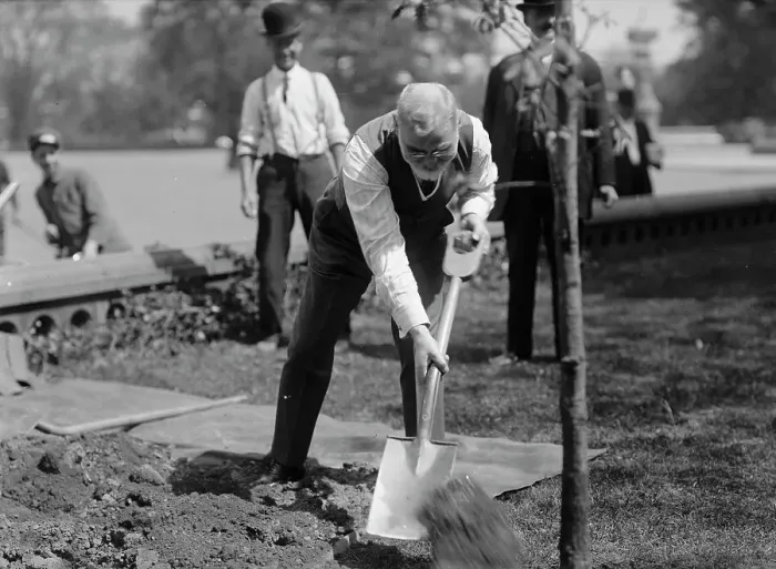 Framed Print : James R. Mann, Rep. from Illinois, Planting Tree At Capitol, 1912. Creator: Harris & Ewing. James R. Mann, Rep. from Illinois, Planting Tree At Capitol, 1912. Creator: Harris & Ewing
