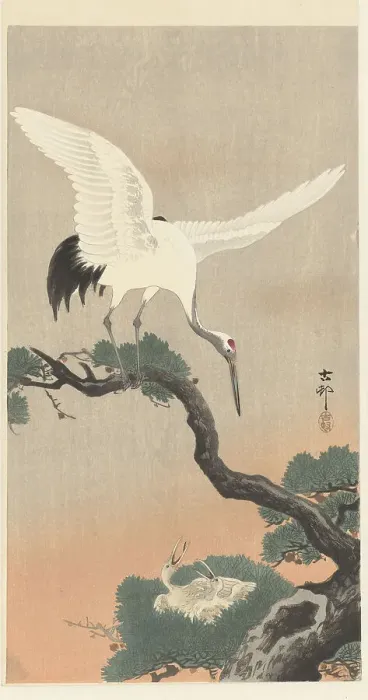 Framed Print : Japanese cranes on branch of pine tree. Creator: Ohara, Koson (1877-1945) Framed Print : Japanese cranes on branch of pine tree. Creator: Ohara, Koson (1877-1945)