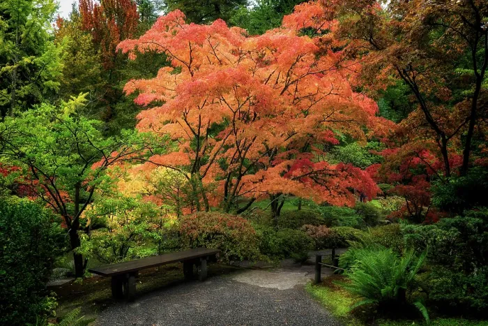 Framed Print : Japanese Gardens. Creator: Joshua Johnston Framed Print : Japanese Gardens. Creator: Joshua Johnston