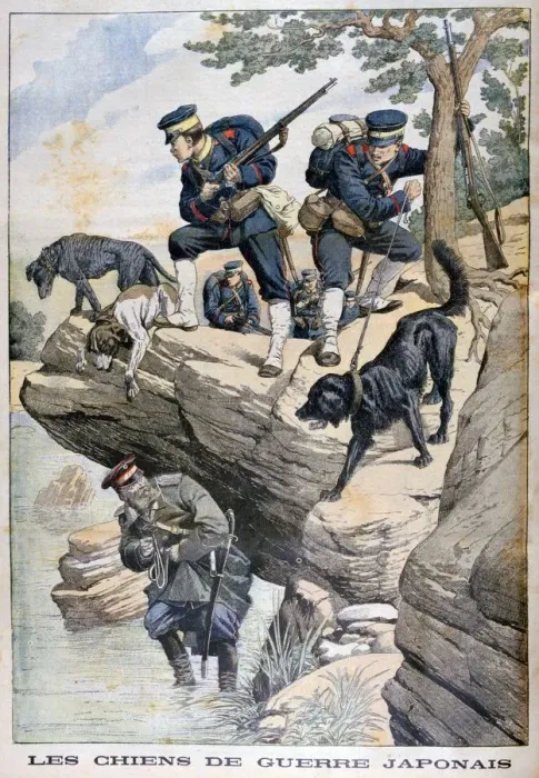 Framed Print : Japanese soldiers with dogs locate a Russian in hiding, Russo-Japanese War, 1904 Framed Print : Japanese soldiers with dogs locate a Russian in hiding, Russo-Japanese War, 1904