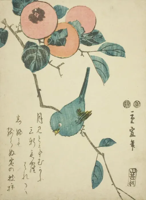 Framed Print : Japanese white-eye and persimmons, c. 1847 / 52. Creator: Utagawa Hiroshige II Framed Print : Japanese white-eye and persimmons, c. 1847 / 52. Creator: Utagawa Hiroshige II