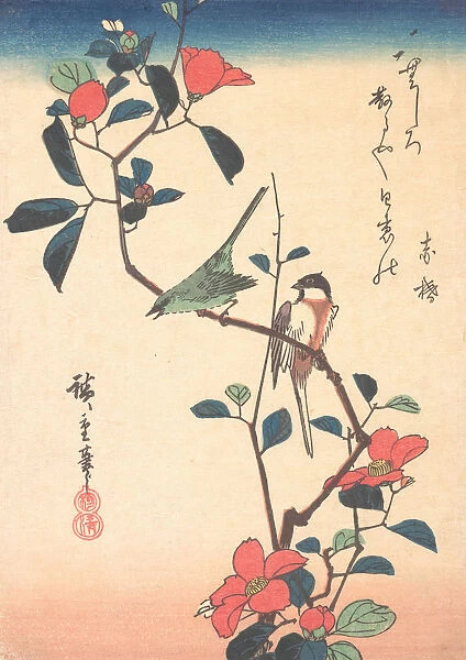 Japanese White-eye and Titmouse on a Camellia Branch, ca. 1840. ca. 1840. Creator: Ando Hiroshige