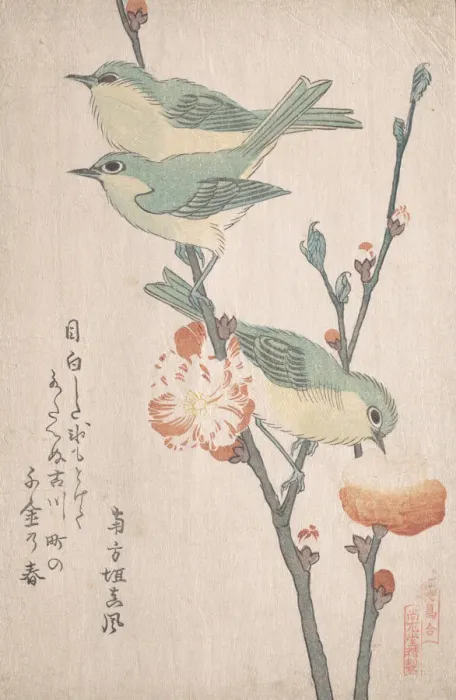 Framed Print : Japanese White-eyes on a Branch of Peach Tree... ca. 1805-10. Creator: Kubo Shunman Framed Print : Japanese White-eyes on a Branch of Peach Tree... ca. 1805-10. Creator: Kubo Shunman