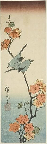 Japanese white-eyes on a maple branch, 1854. Creator: Ando Hiroshige