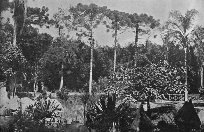 Framed Print : Jardim Publico, 1895. Artists: Wilhelm Gaensly, Rudolf Friedrich Fra Framed Print : Jardim Publico, 1895. Artists: Wilhelm Gaensly, Rudolf Friedrich Fra