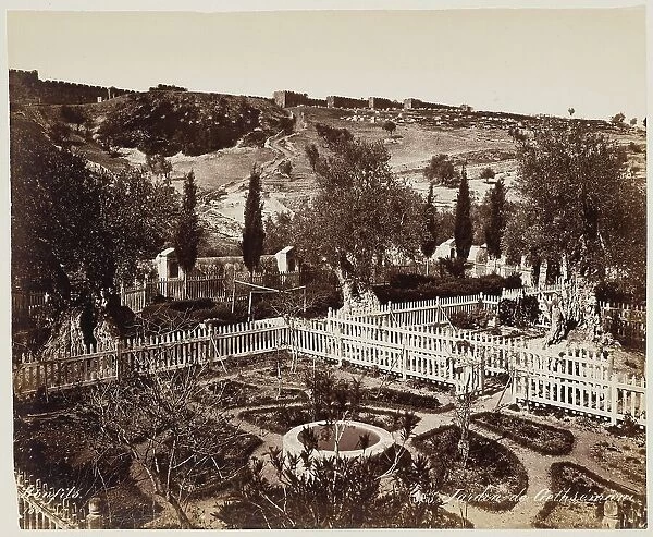 Jardin De Gethseman #303, Printed c.1870. Creator: Felix Bonfils