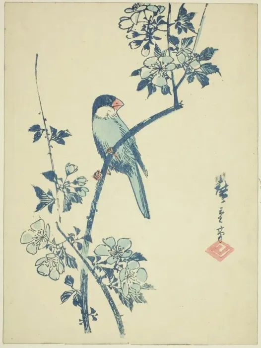 Framed Print : Java sparrow on cherry branch, c. 1830 / 44. Creator: Ando Hiroshige Framed Print : Java sparrow on cherry branch, c. 1830 / 44. Creator: Ando Hiroshige