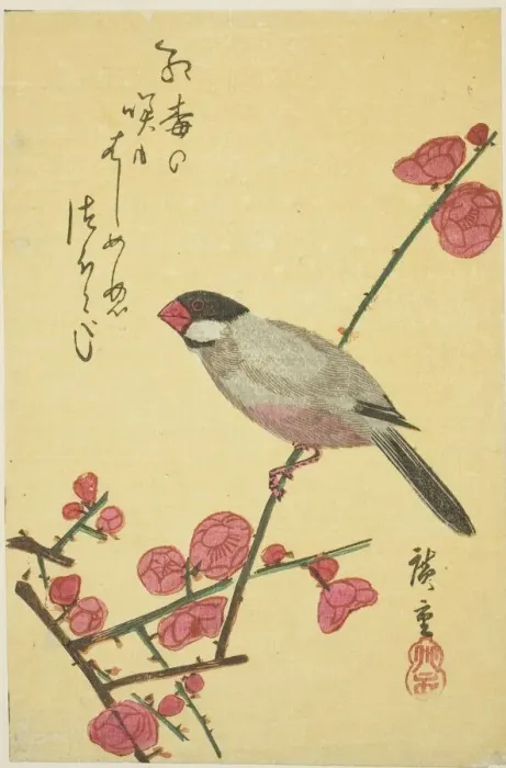 Framed Print : Java sparrow on plum branch, 1830s. Creator: Ando Hiroshige Framed Print : Java sparrow on plum branch, 1830s. Creator: Ando Hiroshige