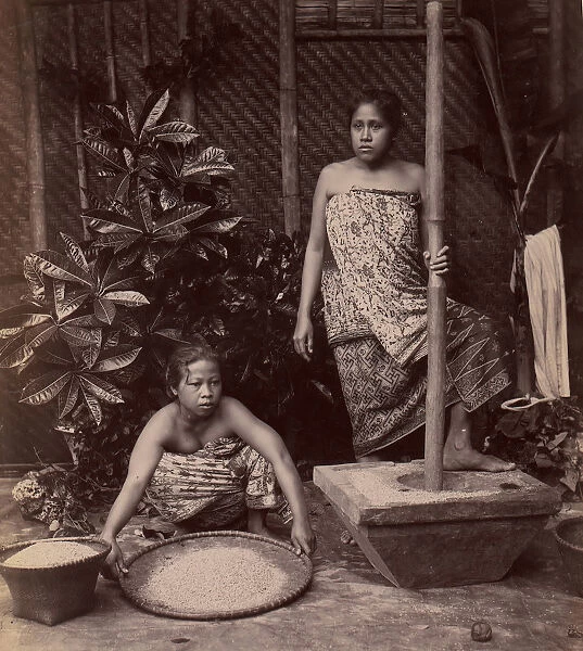 Javanese Women Preparing Rice, 1860s-70s. Creator: Unknown