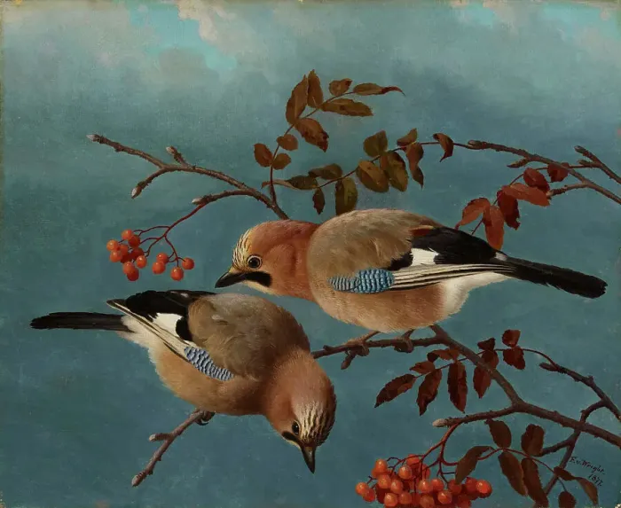 Framed Print : Jays, 1877. Creator: Ferdinand von Wright Framed Print : Jays, 1877. Creator: Ferdinand von Wright