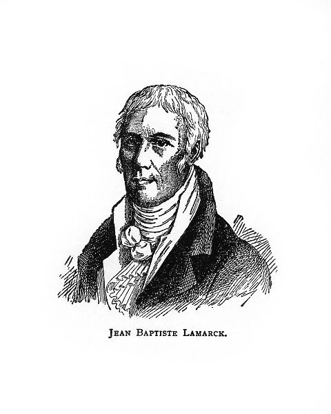 Jean-Baptiste Lamarck, French naturalist, (20th century)