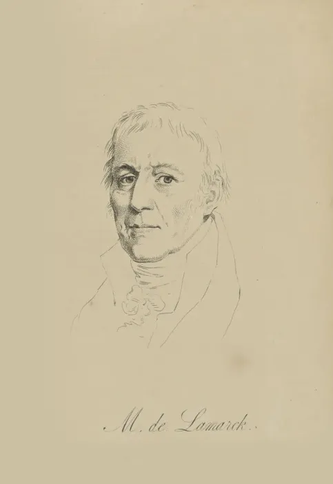 Framed Print : Jean-Baptiste Pierre Antoine de Monet, Chevalier de Lamarck (1744-1829), c. 1810 Framed Print : Jean-Baptiste Pierre Antoine de Monet, Chevalier de Lamarck (1744-1829), c. 1810