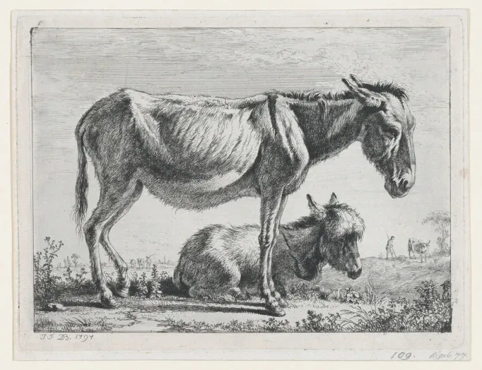 Framed Print : Jenny with its Foal, 1797. Creator: Jean-Jacques de Boissieu Framed Print : Jenny with its Foal, 1797. Creator: Jean-Jacques de Boissieu