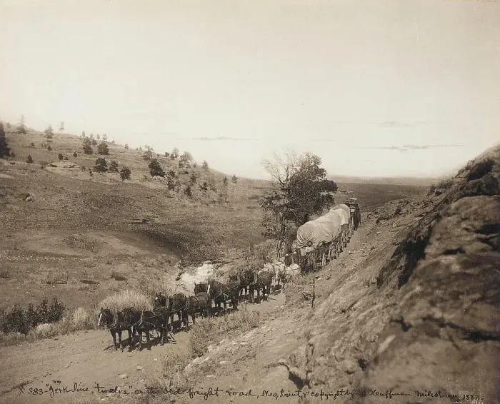 Framed Print : Jerk-line 12, on the Old Freight Road, Milestone, Montana, 1883. Creator: Laton Alton Huffman Framed Print : Jerk-line 12, on the Old Freight Road, Milestone, Montana, 1883. Creator: Laton Alton Huffman